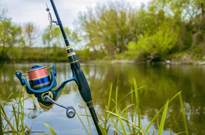 Spinning Rod Combo 